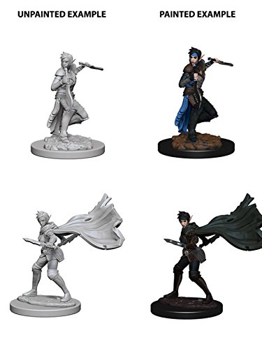 Pathfinder Deep Cuts Unpainted Miniatures: W04 Elf Female Rogue